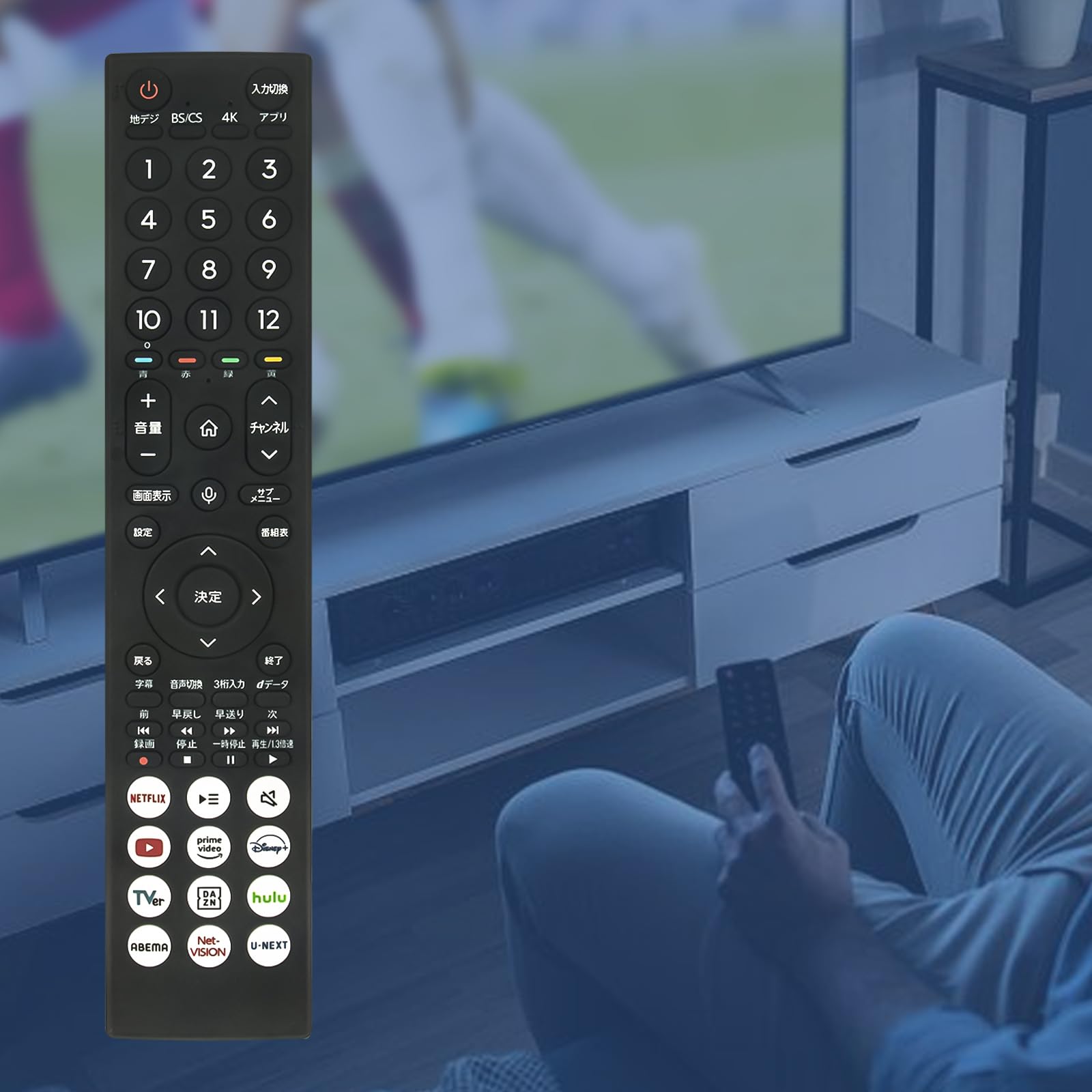 Amazon | テレビリモコン ERF3B46H 音声機能付き fit for Hisense